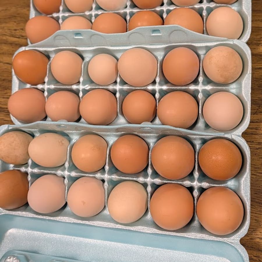Open cartons of mixed brown, cream, and tan eggs
